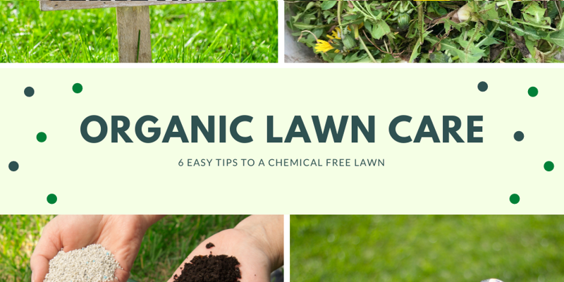 Organic lawn hot sale maintenance