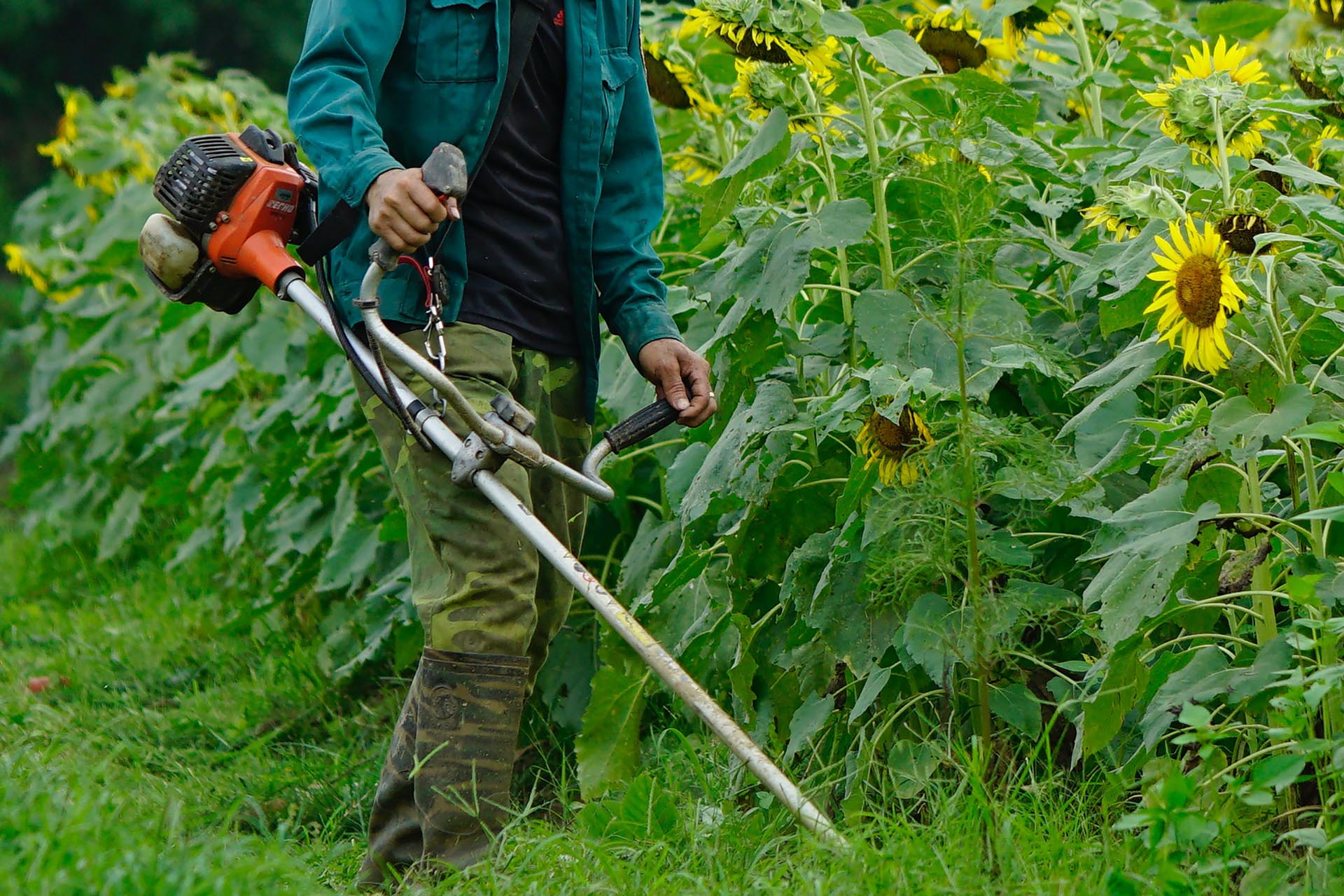 Grass discount cutter man