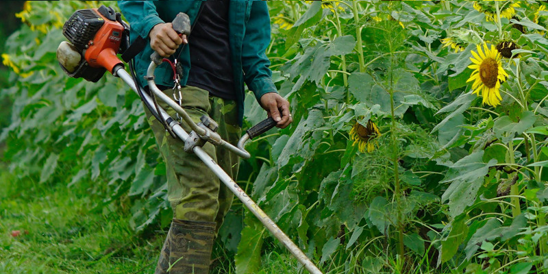 Weed brush deals cutter machine