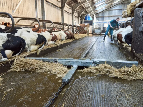 Cleaning Up Your Barn Effectively Tractor Ranch Company Phoenix, AZ ...