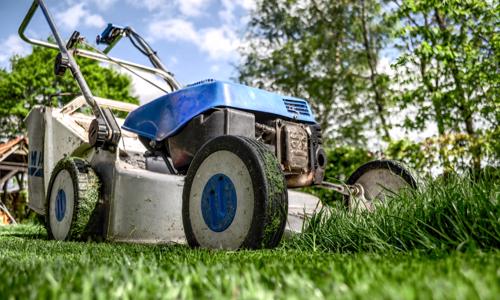 How to Reseed Your Lawn  Lanier Outdoor Equipment