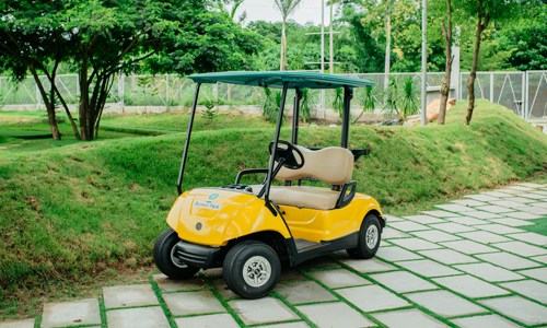 Golf Carts
