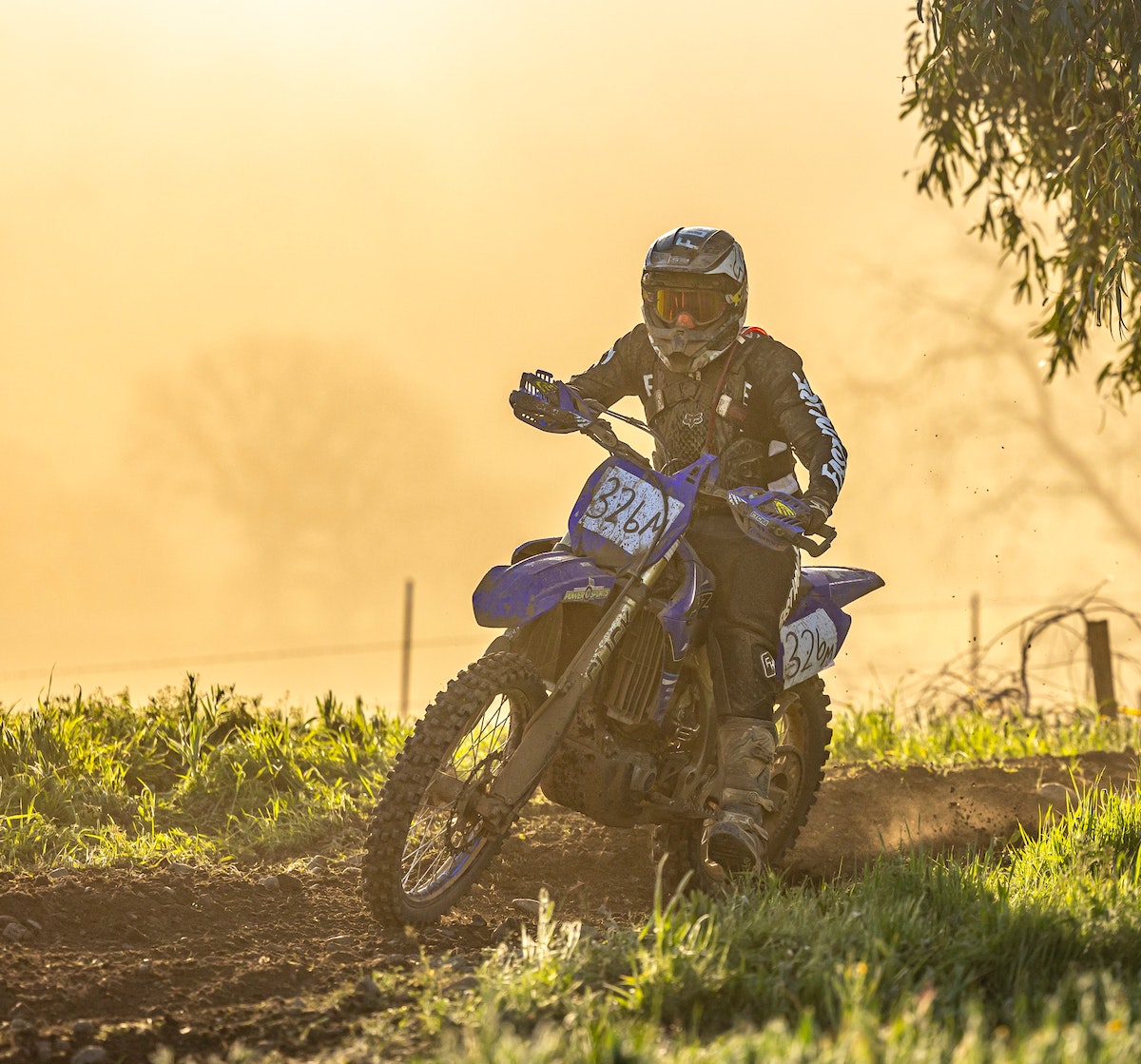 What Are the Best Dirt Bikes for Short Riders?