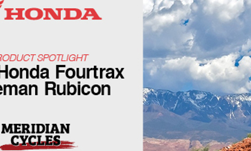 Product Spotlight: 2020 Honda FourTrax Foreman Rubicon