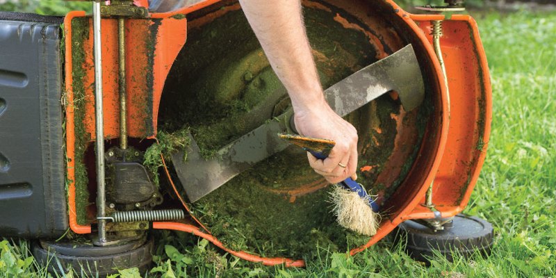 Lawn discount cleaning machine