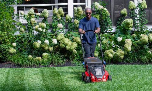 Lawnmower Blade Care Guide