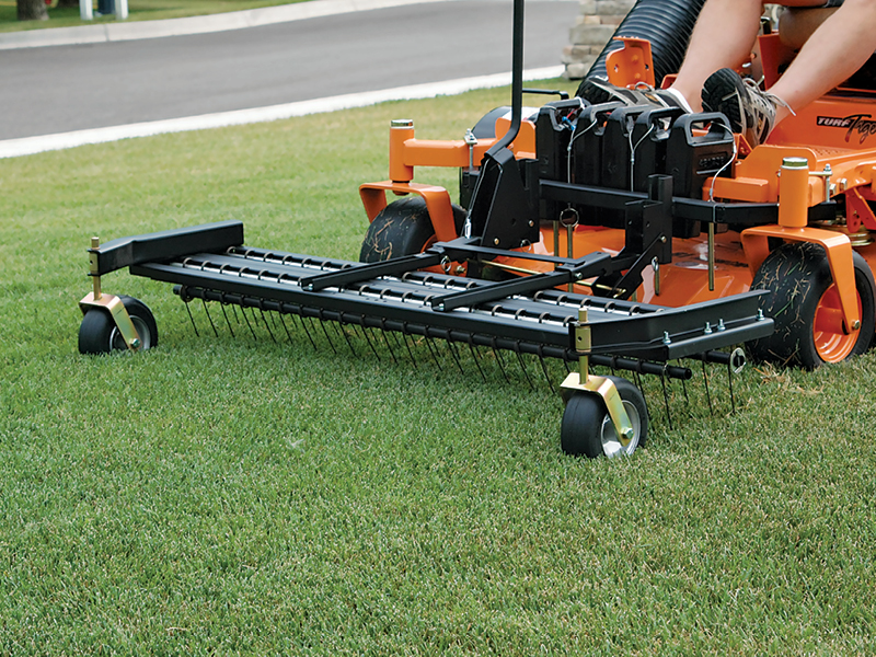 Rake for riding online mower