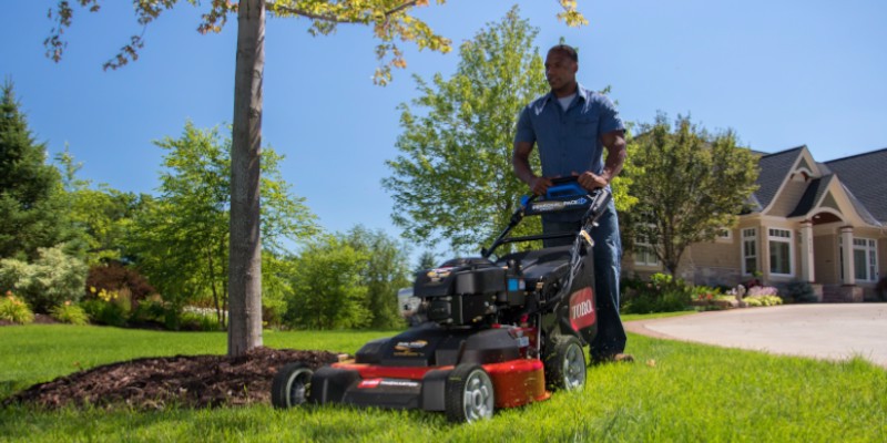 Seafoam lawn discount mower tune up