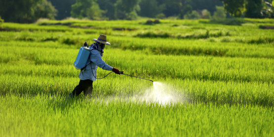 Know Your Farm Pesticides Tractor Ranch Company Phoenix, AZ (602) 699-5300