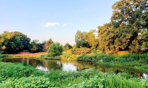 An Unforgettable Off-Road Adventure at Ravine Adventure Park!