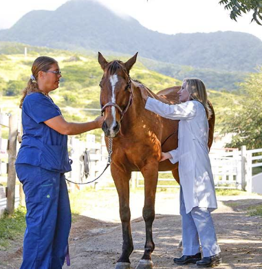 Annual Maintenance for Your Horse Tractor Ranch Company Phoenix, AZ ...