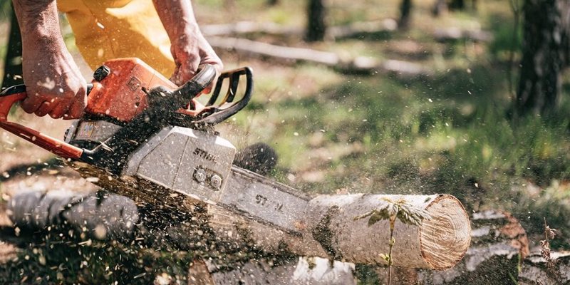 Stihl deals 800 chainsaw