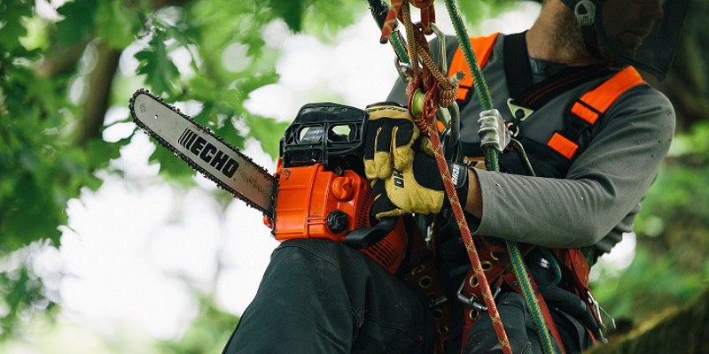 Chainsaw Safety: How To Use A Chainsaw Safely - Which?