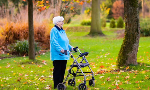 A senior lady uses a rollator in the park.