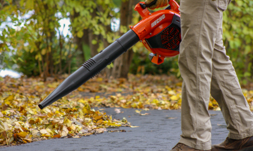 Hedge Clipper Safety, Nashville, TN