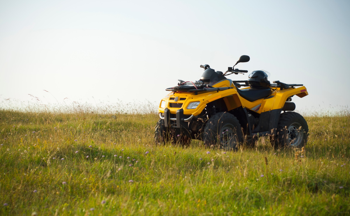 Beginner ATV Buying Guide, Hayward, WI