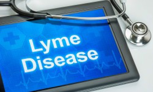 Prescription Lyme Disease Therapies