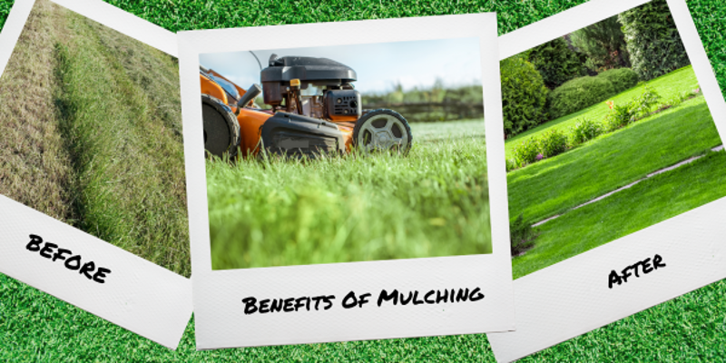 There are many benefits of mulching your lawn. You can save time, money ...
