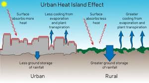 Creating Stable Microclimates Tractor Ranch Company Phoenix, AZ (602 ...